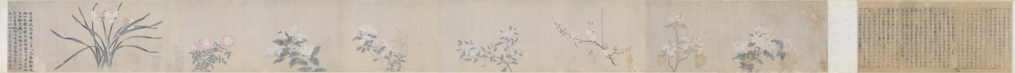 元 钱选 八花图卷 纸本29x333 .9cm.tif
